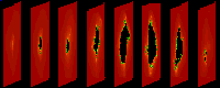 the mid-line cells of the 4D map